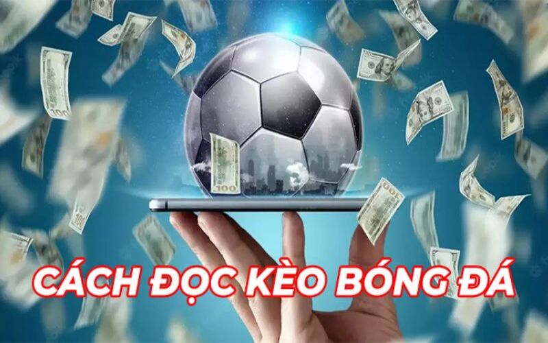 Cách đọc kèo bóng đá trên mạng cho người mới từ A đến Z